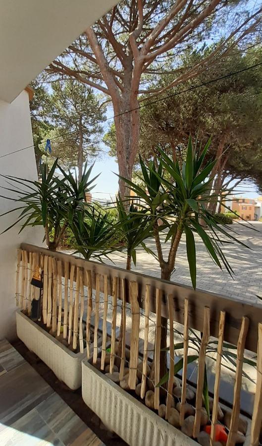 T2-3 Cabine Les Yuccas 200 M Plage Du Boucanet Rive Droite Grau Du Roi Ideal 2-4 Pers Apartment Le Grau-du-Roi Bagian luar foto