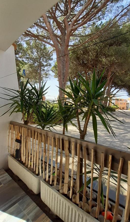T2-3 Cabine Les Yuccas 200 M Plage Du Boucanet Rive Droite Grau Du Roi Ideal 2-4 Pers Le Grau-du-Roi Bagian luar foto